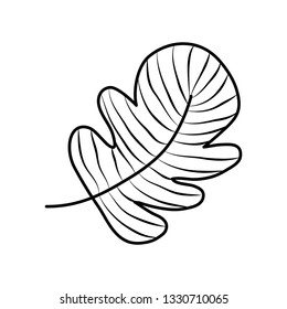 tropical leaf ecology icon