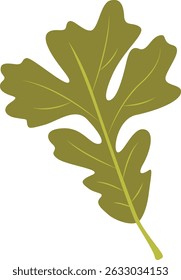 Tropical Leaf Element. Exotic Leaf Plant and Flower. Vector Cartoon Illustration