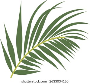 Tropical Leaf Element. Exotic Leaf Plant and Flower. Vector Cartoon Illustration
