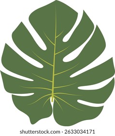 Tropical Leaf Element. Exotic Leaf Plant and Flower. Vector Cartoon Illustration