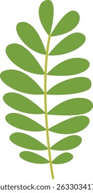 Tropical Leaf Element. Exotic Leaf Plant and Flower. Vector Cartoon Illustration