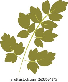 Elemento de hoja tropical. Planta y Flor de Hoja Exótica. Ilustración de dibujos animados de Vector