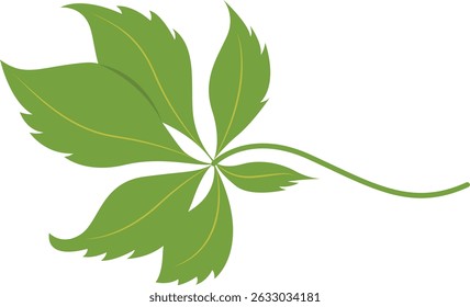 Tropical Leaf Element. Exotic Leaf Plant and Flower. Vector Cartoon Illustration