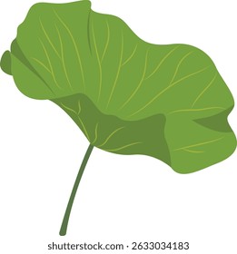 Tropical Leaf Element. Exotic Leaf Plant and Flower. Vector Cartoon Illustration
