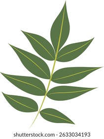 Tropical Leaf Element. Exotic Leaf Plant and Flower. Vector Cartoon Illustration