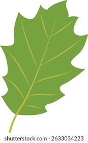 Tropical Leaf Element. Exotic Leaf Plant and Flower. Vector Cartoon Illustration