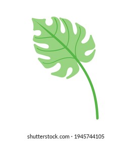  elemento de hoja tropical Ilustración vectorial