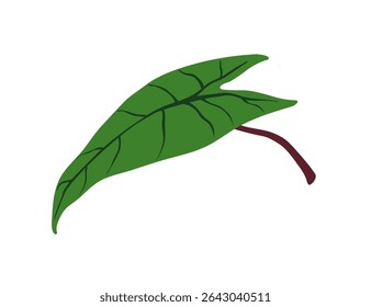 Folha tropical. Folhagem de alocasia verde exótica, forma de coração comprido pontiaguda. Verde fresco, planta. Elemento de decoração floral botânico natural. Ilustração de vetor plano isolada no plano de fundo branco