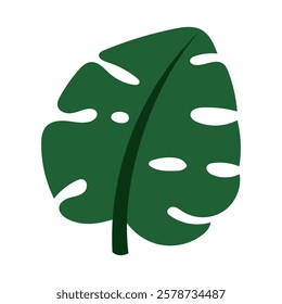 A tropical leaf. Exotic palm trees and flowers in a flat style. Banana leaves, tropics and monsters are highlighted on a white background. Green insulated leaf
