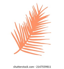 Tropical leaf exotic plant vector sketch icon. Hand drawn summer botanical symbol