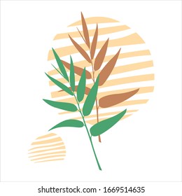 tropical leaf flat design vector