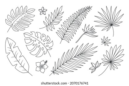 Tropical leaf flower botany plant black line set. Palm branch exotic bird paradise flower hibiscus plumeria. Botanical element tattoo painting decoration magazine cosmetic site spa isolated on white