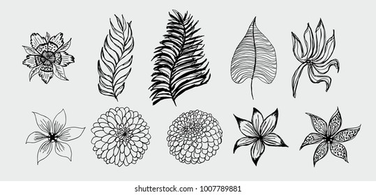 Tropical leaf and flower graphic design vector art