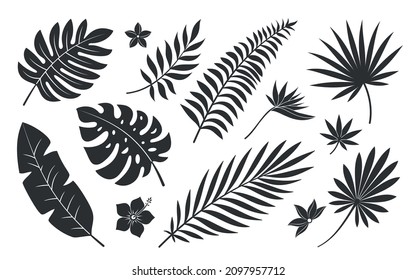 Tropical leaf flower plant black silhouette set. Botanical stamp tattoo imprint badge pattern fabric cosmetic site spa. Palm branch exotic bird paradise flower hibiscus plumeria isolated on white