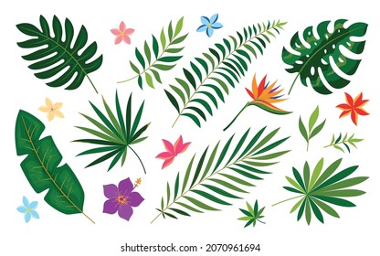 Tropical leaf flower summer print green flat style. Pattern decoration holiday wedding party. Botanic painting fabric clothes bedding room design. Jungle icon cosmetic book game web isolated on white