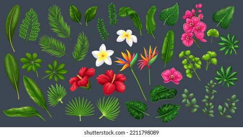 Tropical leaf and flower vector illustration. Tropics with green exotic plants, palm tree leaf and jungle foliage, pink blossom of beach paradise and garden