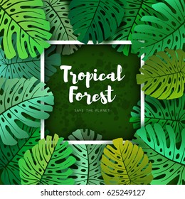 Tropical leaf frame design, monstera palm leaves frame background. Summer tropical design