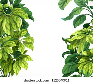 Tropical leaf frame isolated on white background