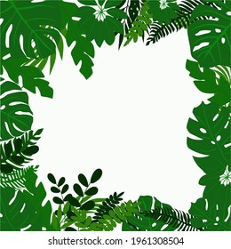 Tropical leaf frame. Vector illustration.