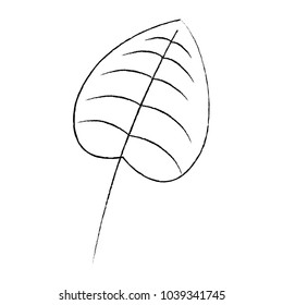 tropical leaf green spring season eco nature