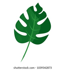 tropical leaf green spring season eco nature