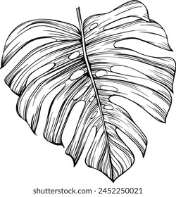 Hoja tropical dibujada a mano. Arte de tinta grabada en blanco y negro. Elemento de ilustración aislado sobre fondo blanco.