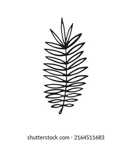Tropical Leaf. Hand drawn vector illustration. Line art style isolated isolated on white background.