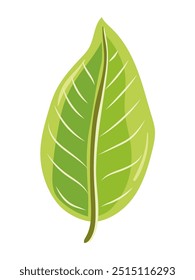 Tropical leaf hand drawn vector illustration for eco-friendly design