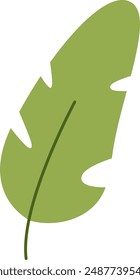 Tropical Leaf Handdrawn Vector Illustration