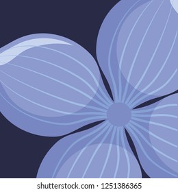 tropical leaf icon