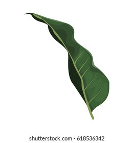 tropical leaf icon