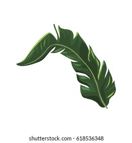 tropical leaf icon