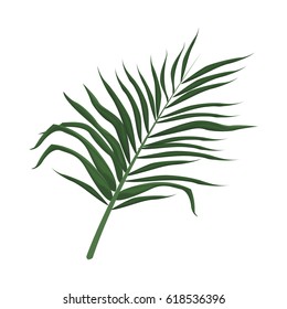 tropical leaf icon