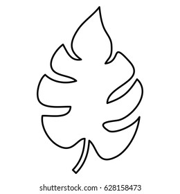 tropical leaf icon