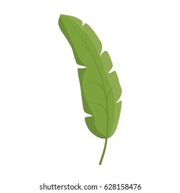 tropical leaf icon