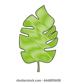 tropical leaf icon