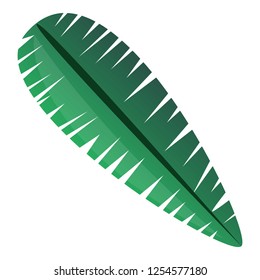 Tropical leaf icon. Cartoon of tropical leaf vector icon for web design isolated on white background