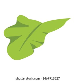 Tropical leaf icon. Cartoon of tropical leaf vector icon for web design isolated on white background