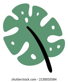 Tropical leaf icon. Cute monstera plant foliage