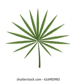 tropical leaf icon image 