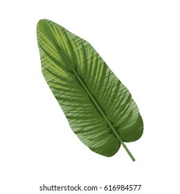 tropical leaf icon image 