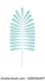 tropical leaf icon on white background