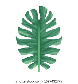 tropical leaf icon over white background, flat design, vector illustration