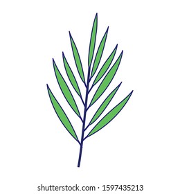 tropical leaf icon over white background, colorful design, vector illustration