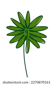 tropical leaf icon over white background colorful design vector illustration graphic design
