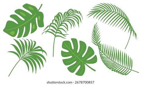 Conjunto de iconos de hojas tropicales. Hoja de palmera de verano. Ilustración vectorial dibujada a mano. Plantilla de diseño de tarjeta de felicitación. Concepto de decoración