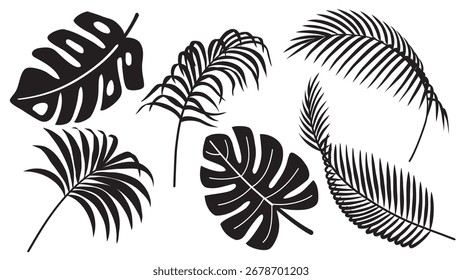 Conjunto de iconos de hojas tropicales. Hoja de palmera de verano. Blanco y negro. Ilustración vectorial dibujada a mano. Plantilla de diseño de tarjeta de felicitación. Concepto de decoración