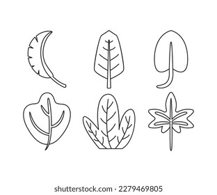 tropical leaf icons set line illustration