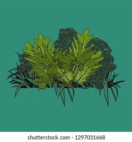 Tropical leaf illustration