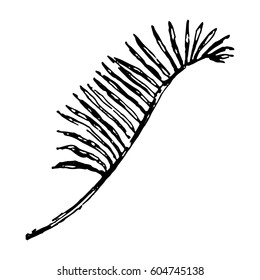 Tropical leaf illustration